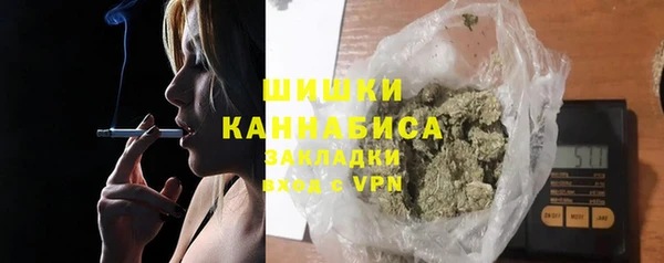 apvp Богданович