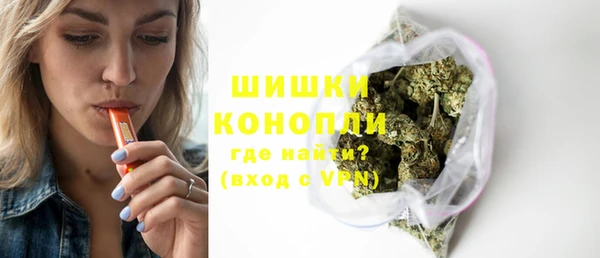 мдпв Богородск