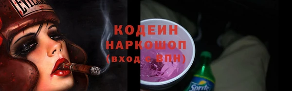 мдпв Богородск