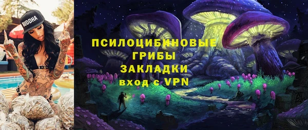 MDMA Богородицк